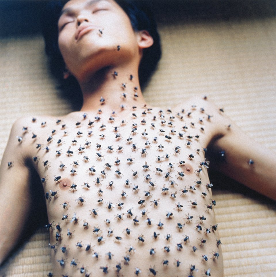 33) Rinko Kawauchi (1972).