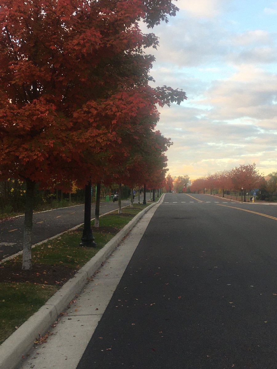 Jenruns10's tweet photo. I love these orange trees. So lucky they are so close to me. And I can marvel in them as I run. #sunrunfun https://t.co/EVC0HTr0pj