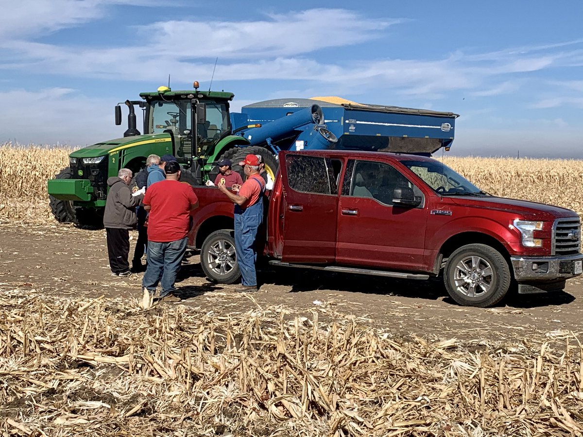 Gruver_ISD's tweet image. Corn was being harvested and shipped today for the Gruver Farm Scholarship!

We can’t say enough good things about the group of sponsors, farmers, truck drivers, feedlot workers, etc...who make the Gruver Farm Scholarship work! Amazing folks around here! 
#ThankYou #🌽  #👩‍🎓 👨‍🎓