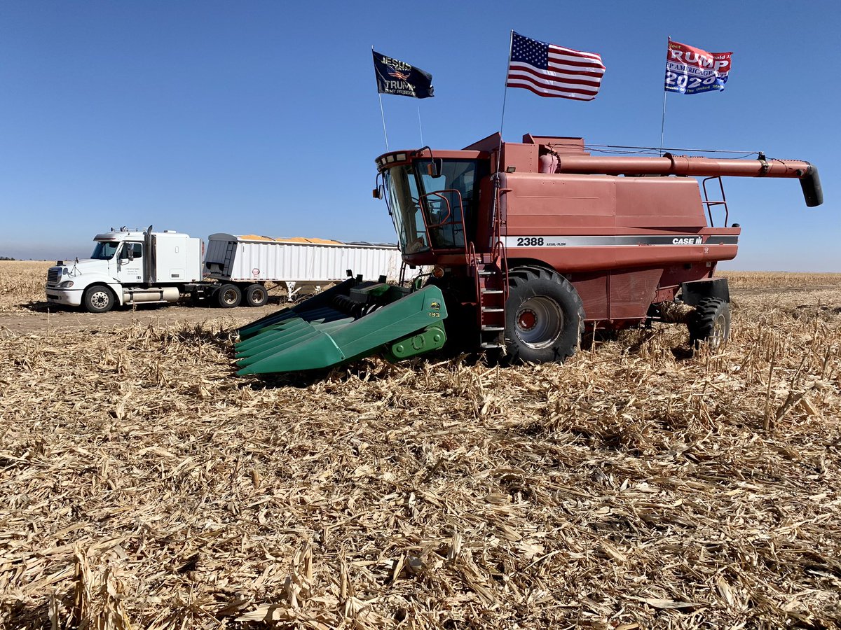 Gruver_ISD's tweet image. Corn was being harvested and shipped today for the Gruver Farm Scholarship!

We can’t say enough good things about the group of sponsors, farmers, truck drivers, feedlot workers, etc...who make the Gruver Farm Scholarship work! Amazing folks around here! 
#ThankYou #🌽  #👩‍🎓 👨‍🎓