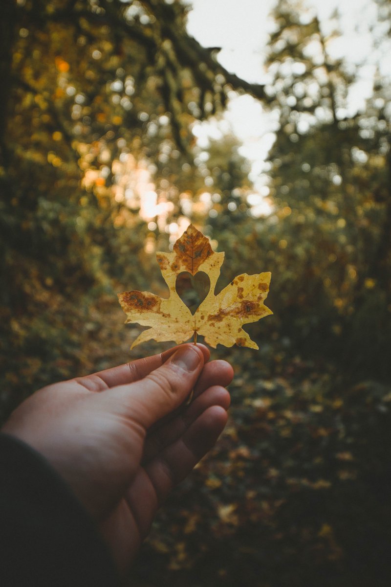TrueNatureEd's tweet photo. Today, we’d like to take a moment to thank our veterans, military families, and active duty service members for their sacrifices and service!

#gratitude #VeteransDay https://t.co/Kx4XH80Lf9