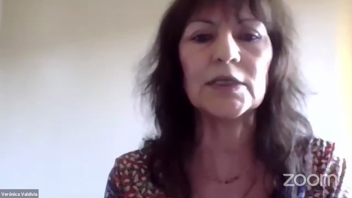 “La derecha histórica siempre tuvo una relación muy particular con la violencia política, no era una violencia política doctrinaria, pero si era praxis histórica”.
Verónica Valdivia (historiadora).