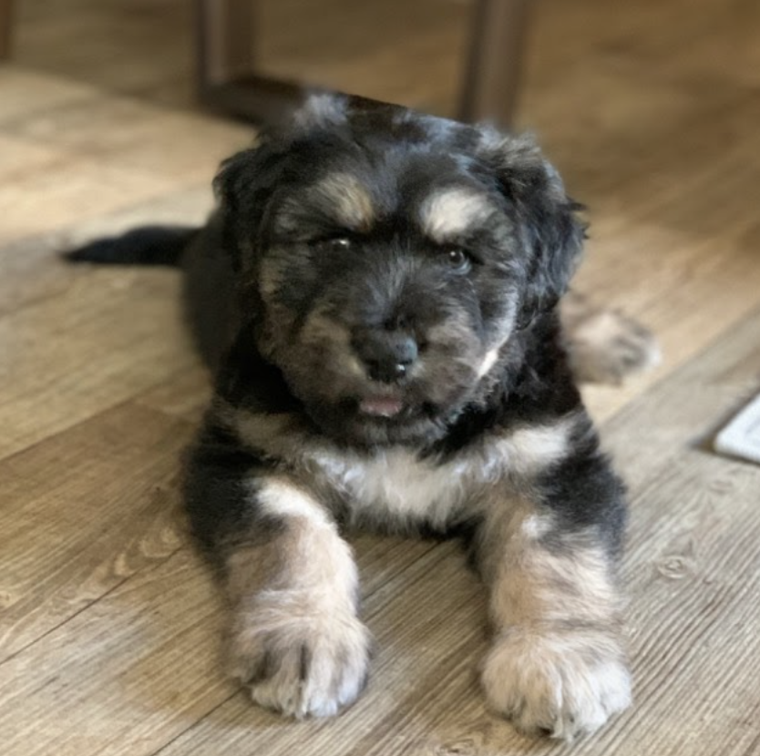 ted from 7-10 weeks!