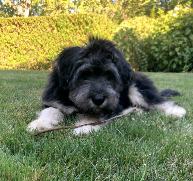 ted from 7-10 weeks!