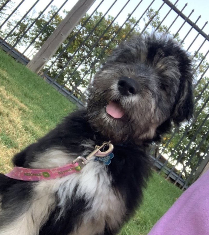 ted from 7-10 weeks!