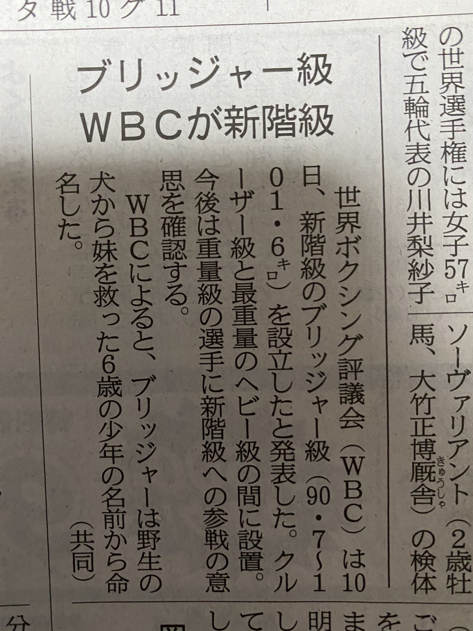 Sunny ヘビー級とクルーザー級の間にブリッジャー級 ヘビー級ってやや無差別級的な存在で過去マイケル スピンクスやイベンダー ホリフィールドが下の階級から挑戦して王者になったり そういう面白さもあったんやけど ブリッジャー級 需要あるのかな ある Sunny ヘビー級とクルーザー級の間にブリッジャー級 ヘビー級ってやや無差別級的な存在で過去マイケル スピンクスやイベンダー ホリフィールドが下の階級から挑戦して王者になったり そういう面白さもあったんやけど ブリッジャー級 需要あるのかな ある