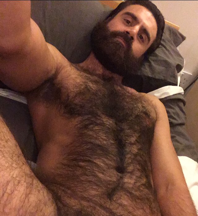 hairywolfguy's tweet photo. So this is Twitter 🤔 https://t.co/qo2P76JVZQ