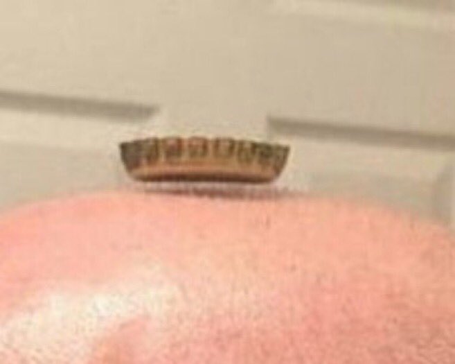 A esto de hacerme stripper