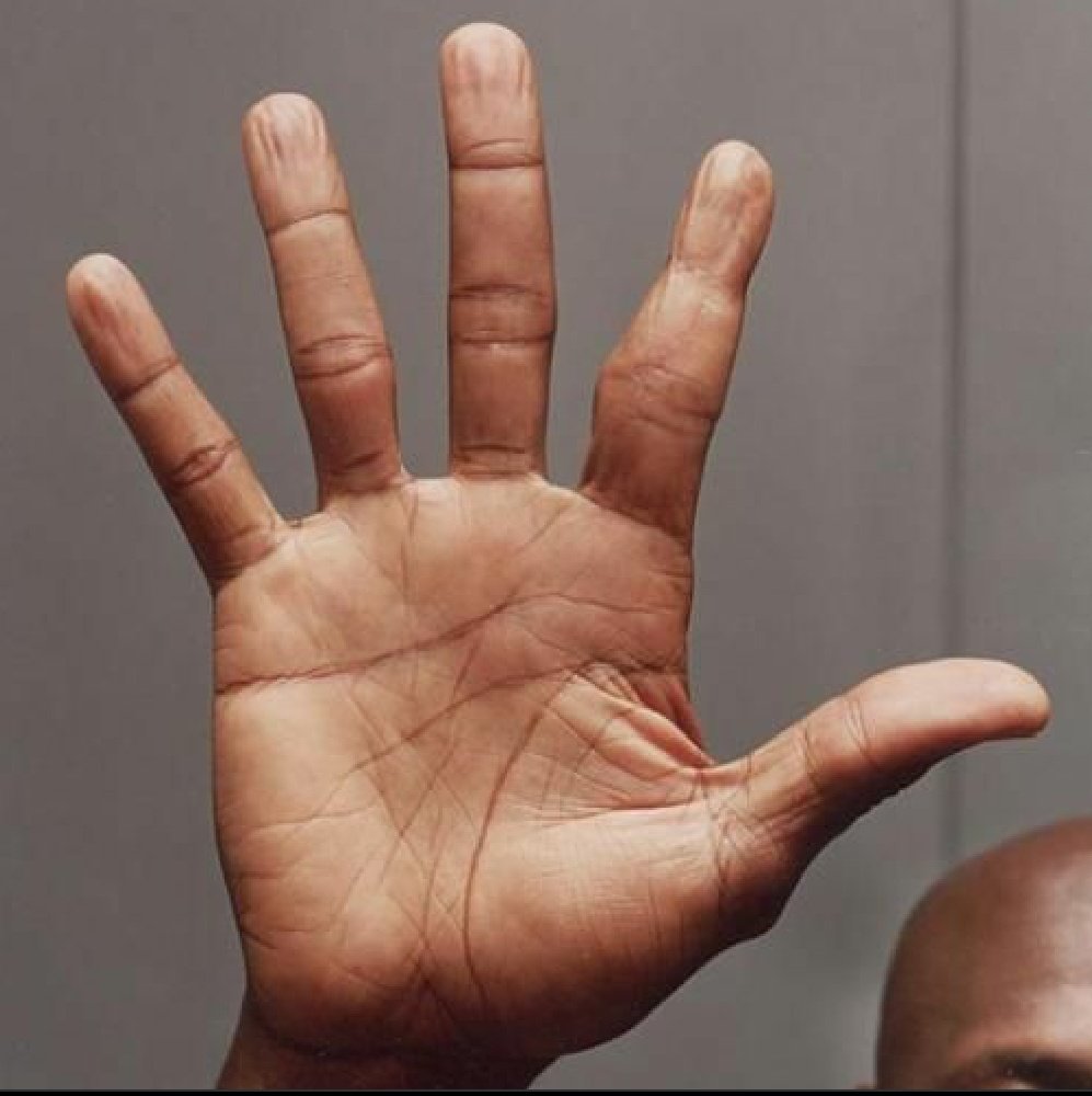 Как выглядит ладошка. Ладонь человека. Линия головы. Мужская ладонь. Хиромантия линия жизни.