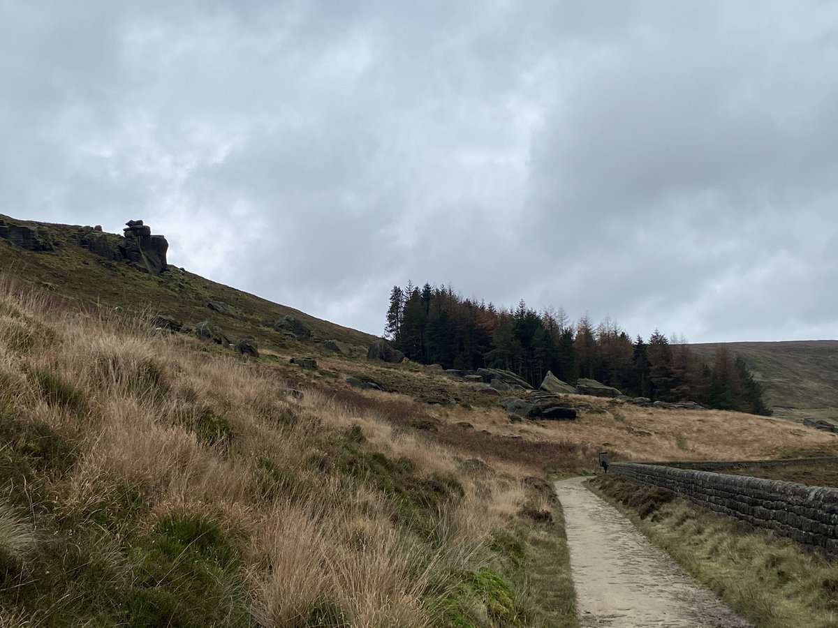 RalphHorsley's tweet photo. Collecting photo ref on todayβs bike ride above Hebden Bridge. #photoref https://t.co/FiRRBq19sk