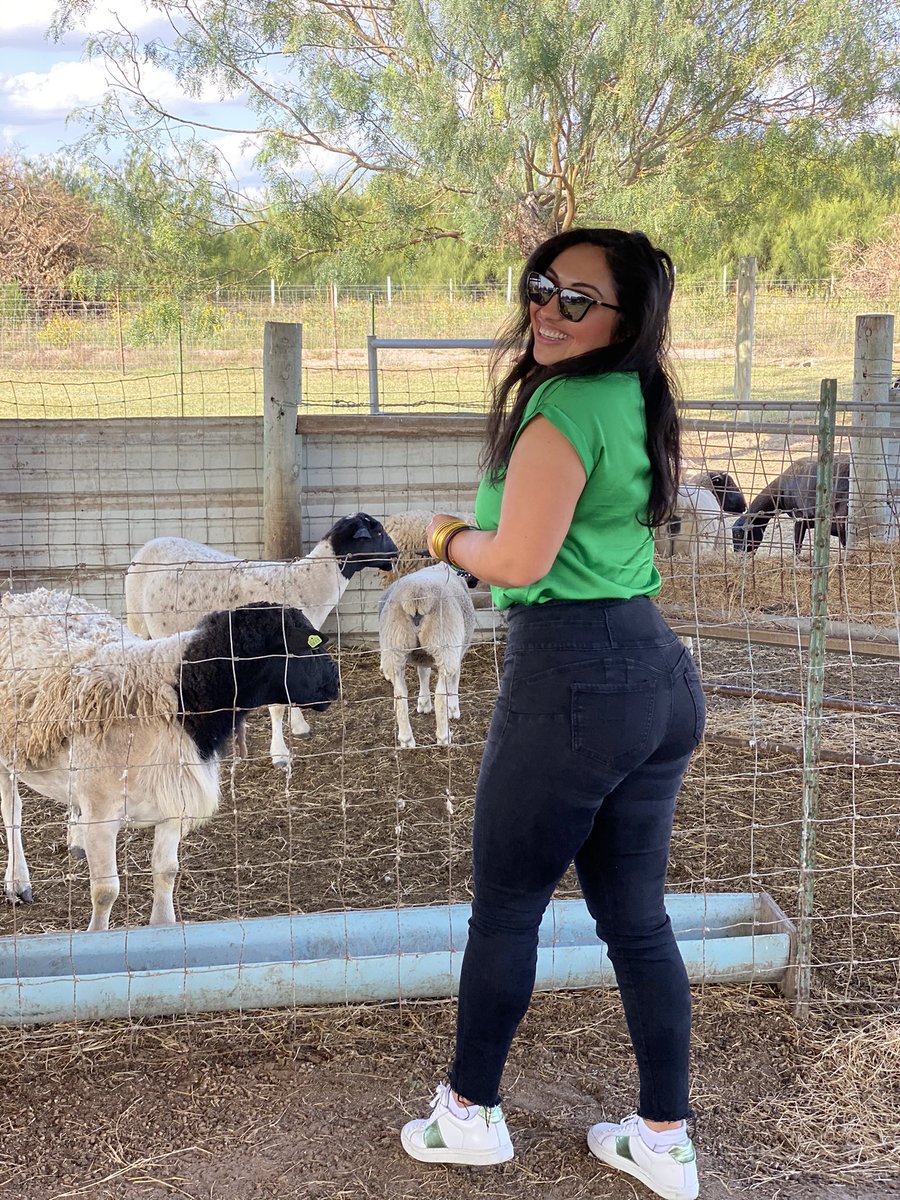 thelmatamez's tweet photo. The beauty of the RGV is that in less than 2 hours you could be in a ranch, island or Mexico. #RGVNative #McAllenProud #Texas #SouthTexas #Ranch #GOAT https://t.co/iAwUW1LpIK