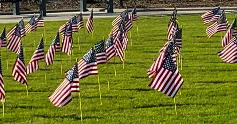 ElizabethBarber's tweet photo. This day is always an important day for me, not because of anything I have done, but because of all of the amazing people I have been able to stand proudly alongside for the past 31 years. These flags were placed in Veterans Park in Harrisburg NC by AL Aux Unit 523 #veteransday https://t.co/UvDmPZs87u