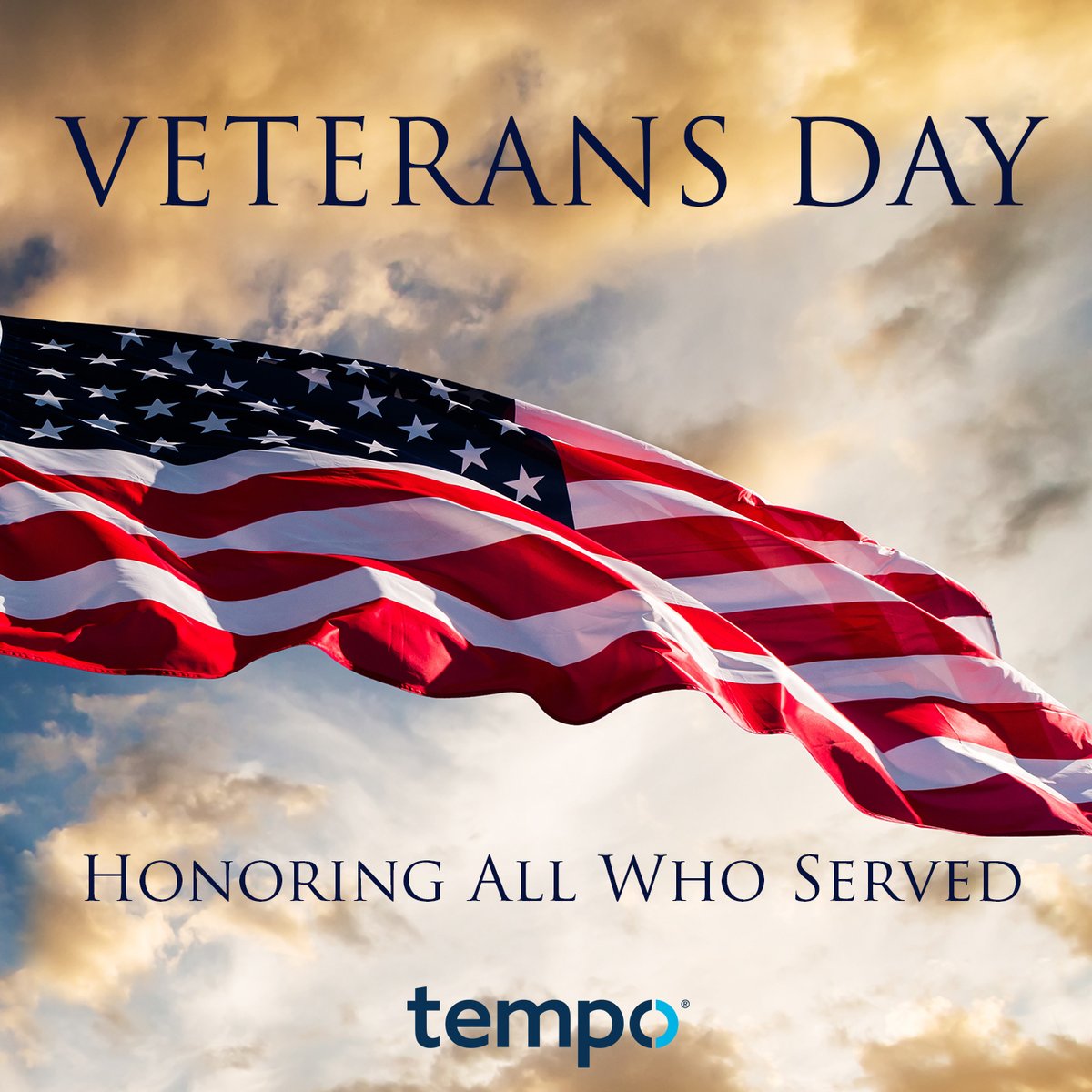 TempoLLC's tweet photo. Thank you to all of our #USA veterans. Today we honor and pay respect to you for your sacrifices and duty to country. #VeteransDay #thankyou https://t.co/jdDnpQ4Pjm