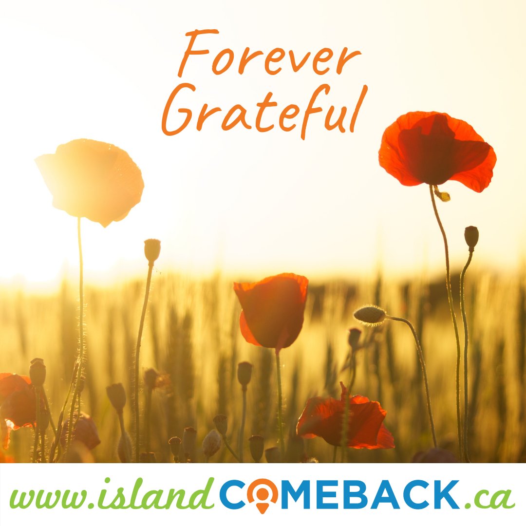 Island_COMEBACK's tweet photo. https://t.co/KEkuv6K9N9 to locate virtual National & local ceremonies.
We remember.
@Island_COMEBACK @BCFerries @ShawInfo @BIMunicipality @AlertBay @DiscoveryIsles @VisitDenmanIsle @visitporthardy @pmchamber1 @penderislechamb
#IslandCOMEBACK #BCFerries
@ruralislandsbc https://t.co/JqKnmDU5vs