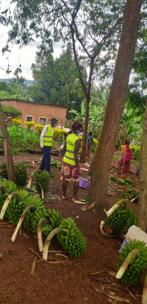 NgomaYouth's tweet photo. Uyu munsi urubyiruko rwa @NgomaYouth rwakomeje ubukangurambaga bwo kurwanya #COVID19 mu mirenge itandukanye igize akarere ka @NgomaDistrict aho bakanguriraga ubaturage gukurikiza amabwiriza yo kurwanya #COVID19
#kwambaraagapfukamunwaneza, #gukarabaintoki no #gusigainteraihagije https://t.co/WX0aAJnaGJ