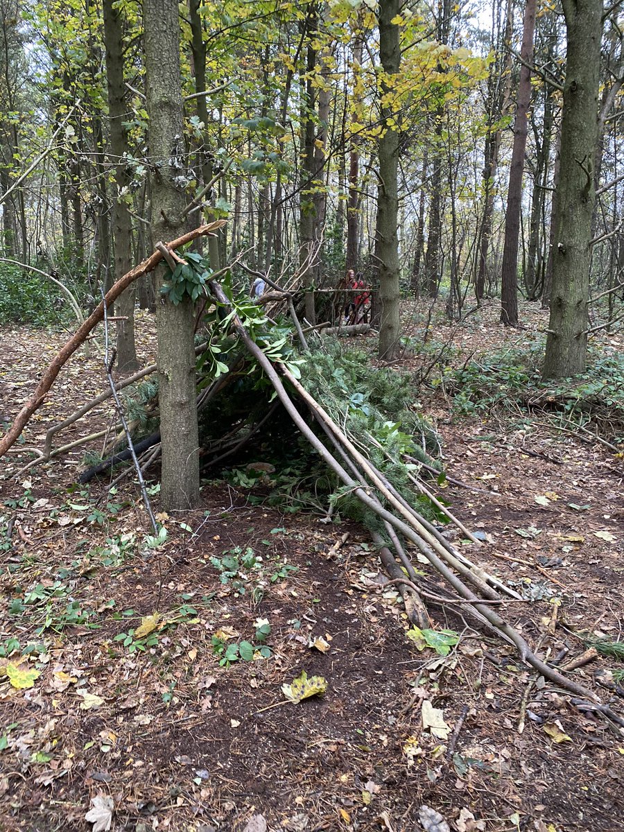 ScoutedChris's tweet photo. Natural shelters in the woodland with @WynyardPrimary Y6 classes. Lean-to, bivouac and teepee. #TeamWork #TeamBuilding #Leadership #ForestSchools https://t.co/1i2uvr3kDb