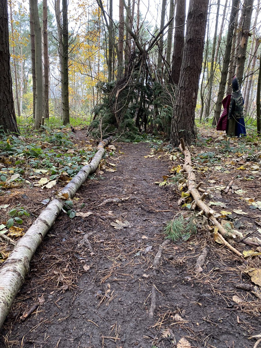 ScoutedChris's tweet photo. Natural shelters in the woodland with @WynyardPrimary Y6 classes. Lean-to, bivouac and teepee. #TeamWork #TeamBuilding #Leadership #ForestSchools https://t.co/1i2uvr3kDb