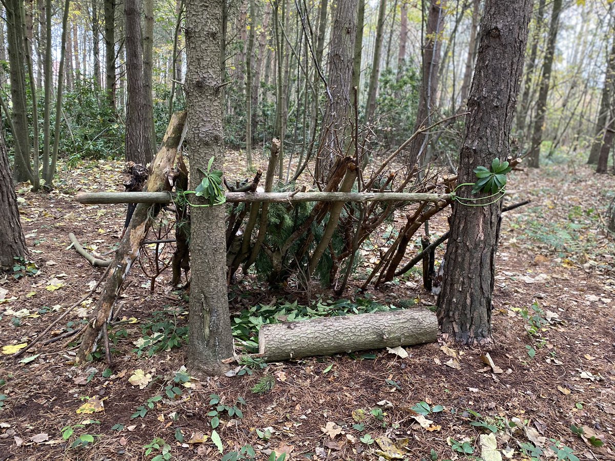 ScoutedChris's tweet photo. Natural shelters in the woodland with @WynyardPrimary Y6 classes. Lean-to, bivouac and teepee. #TeamWork #TeamBuilding #Leadership #ForestSchools https://t.co/1i2uvr3kDb
