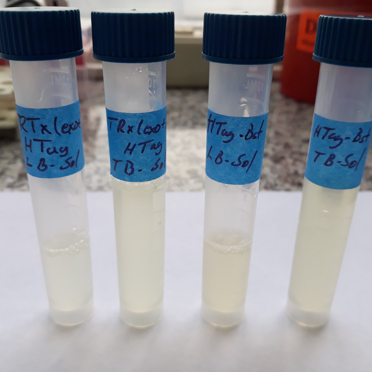 Antonio J Vallecillo, PhD tweet media