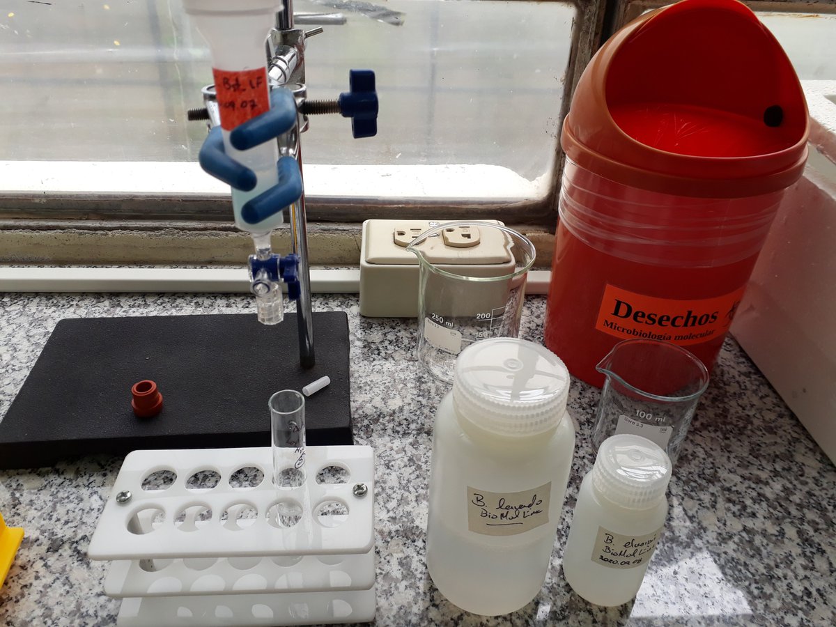 Antonio J Vallecillo, PhD tweet media