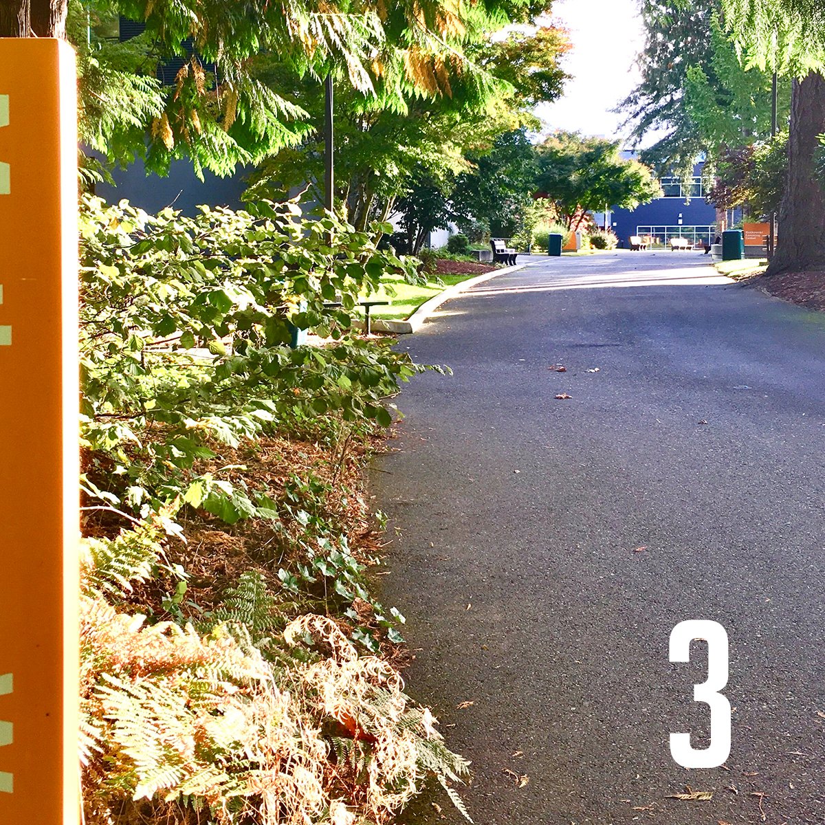 GreenRiverCC's tweet image. As we all work and study at home, let's remember our beautiful "Gator Home" that continues to stand strong, beautiful, and patient for our return! It's been 8 months, but can you remotely identify these scenic spots on campus? Can you get all four?