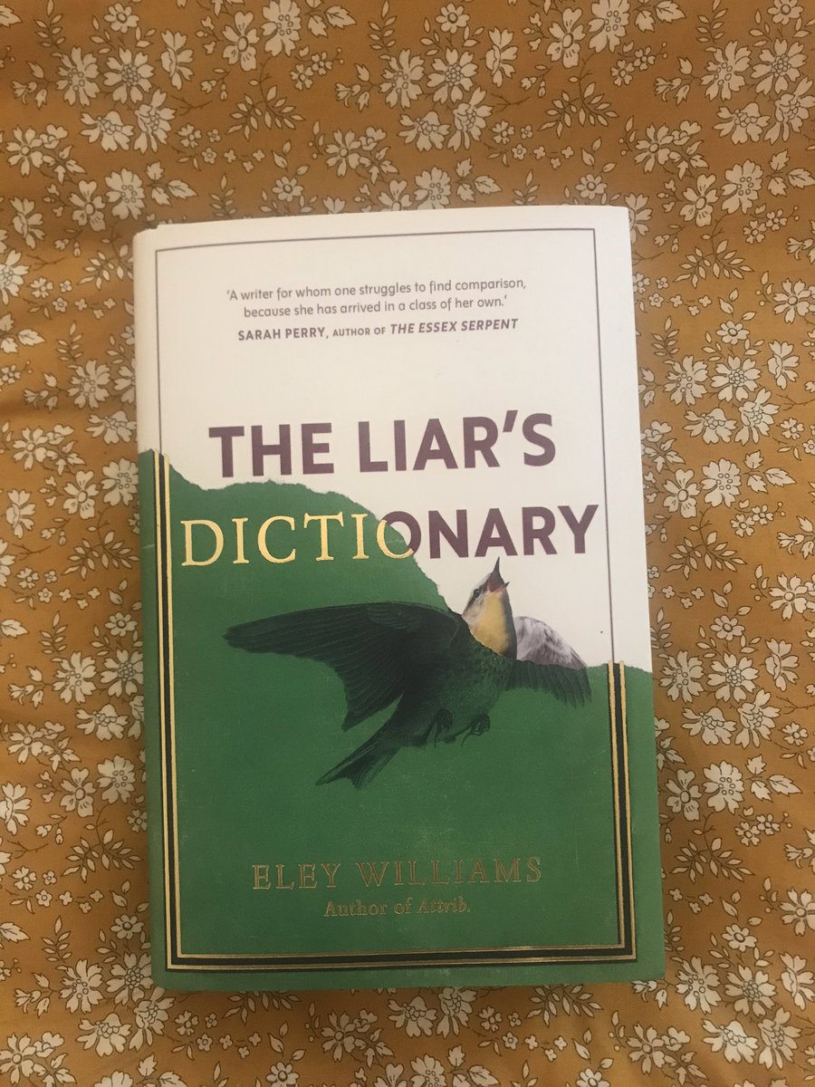 Some of the passages in  @GiantRatSumatra’s first novel are so linguistically rich you’d like to be able to hold them in your hand and squeeze at them. Apt for a novel about dictionaries, and the making of language.