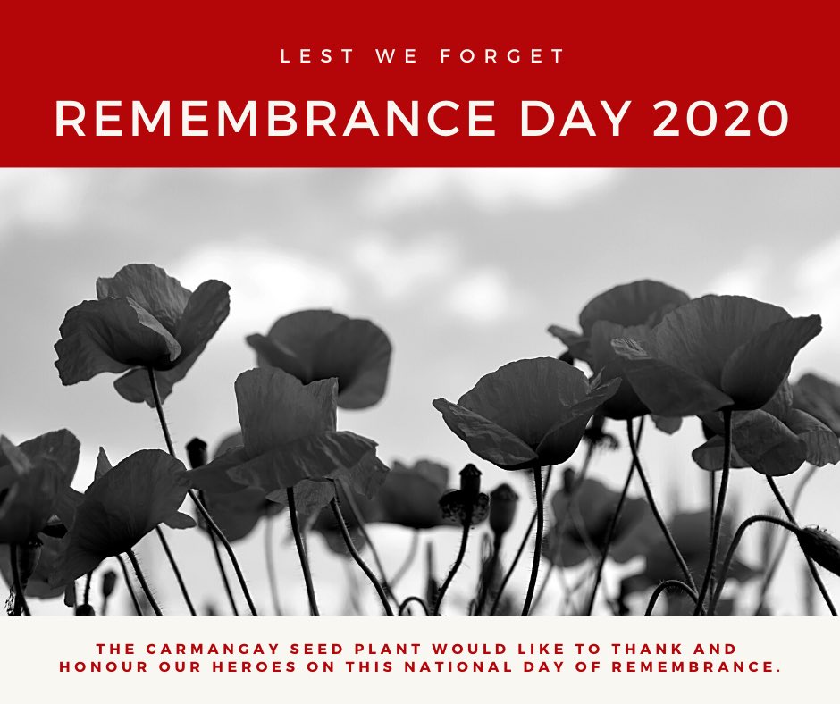 Carmangay Seed Plant (@carmangayseed) on Twitter photo 