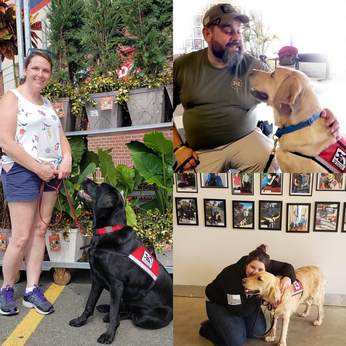 servicedogsva's tweet image. We honor all veterans today. We thank our veteran clients Michelle, Joel, and Megan for their service. #veteransday #ptsdservicedogs