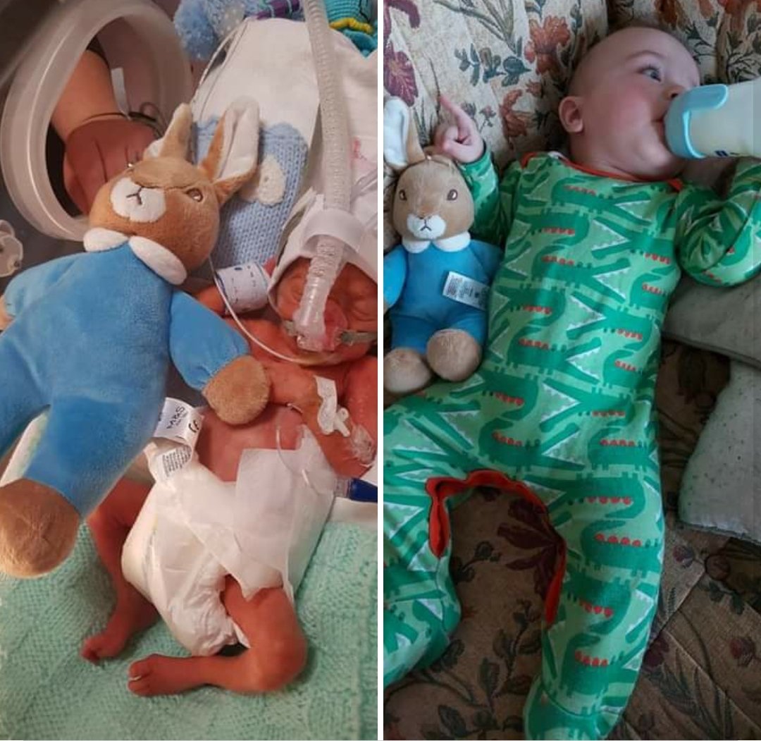 Staff1's tweet photo. @GaryBarlow my amazing Grandson ... Born 12 weeks early... but look at him now our little warrior has made this year bearable #MPBH 💙 https://t.co/MNAOlXUEjY