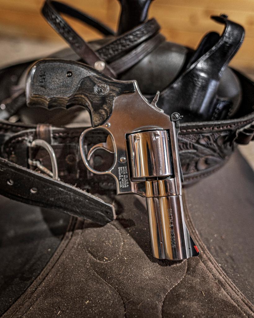 Smith_WessonInc's tweet photo. Wheelgun Wednesday!
The Smith & Wesson® Model 686 PLUS with 3" barrel is perfect for the ranch.
#SmithandWesson #Model686PLUS #357Magnum #Ranch https://t.co/XFoRIdEpDb