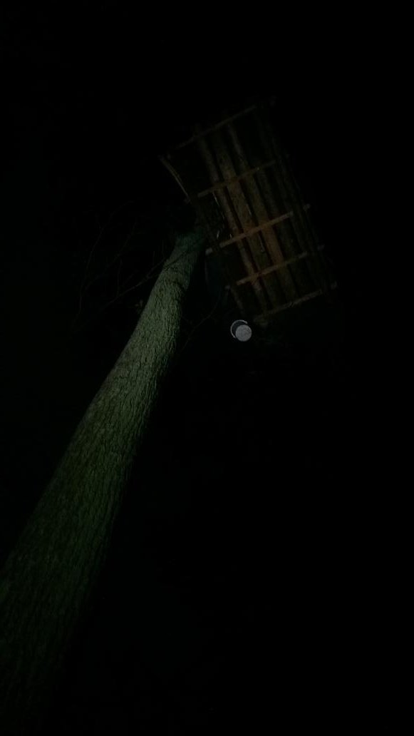 Druebenlife's tweet photo. So today in the barrio drüben a tree was cut ca. 5cm deep. This tree was one off three trees which holds the treehouse danger zone. While being cut 2 persons where up on that treehouse. STOP THIS MADNESS!!!! https://t.co/Xr6esmyVg1