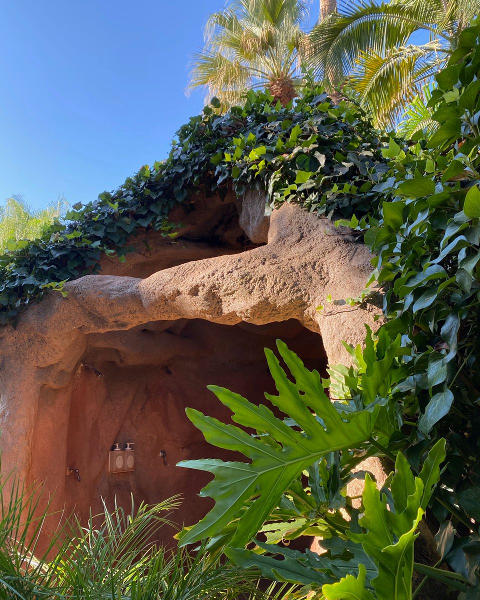 GlenIvySpas's tweet photo. Nestled in the lush grounds of Glen Ivy is #ClubMud. A guest-favorite, this fun experience helps to remove toxins and reveal your softest skin yet! https://t.co/DEZI2XVfeg