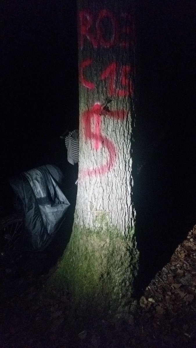 Druebenlife's tweet photo. So today in the barrio drüben a tree was cut ca. 5cm deep. This tree was one off three trees which holds the treehouse danger zone. While being cut 2 persons where up on that treehouse. STOP THIS MADNESS!!!! https://t.co/Xr6esmyVg1