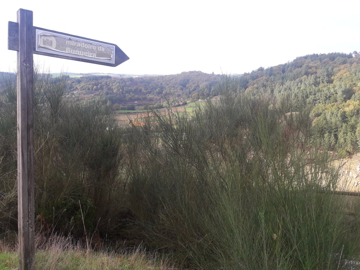 PortomarinPsoe's tweet photo. 🔴 O PSOE de #Portomarín presentará no próximo pleno unha iniciativa 📝 para que acondicione e repare o Miradoiro da Buqueira 🏞, ubicado nas inmediacións de #Sabadelle, nun entorno e cunha vista 👀 extraordinaria do #encorodeBelesar. #MiradoiroDaBuqueira #RibeiraSacra https://t.co/bcLouCLRkF