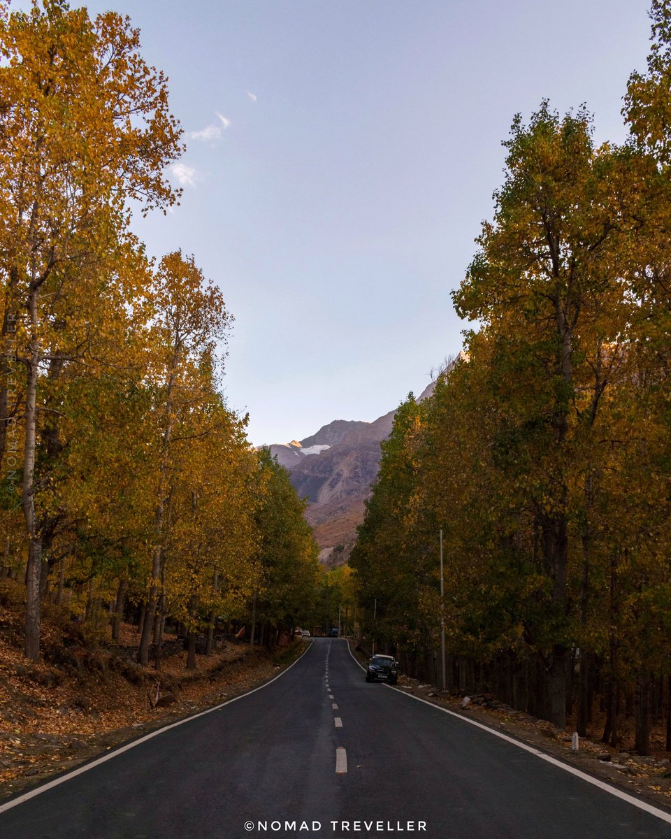 kullvinomad's tweet photo. SISSU AUTUMN https://t.co/Rty9fyQnhL