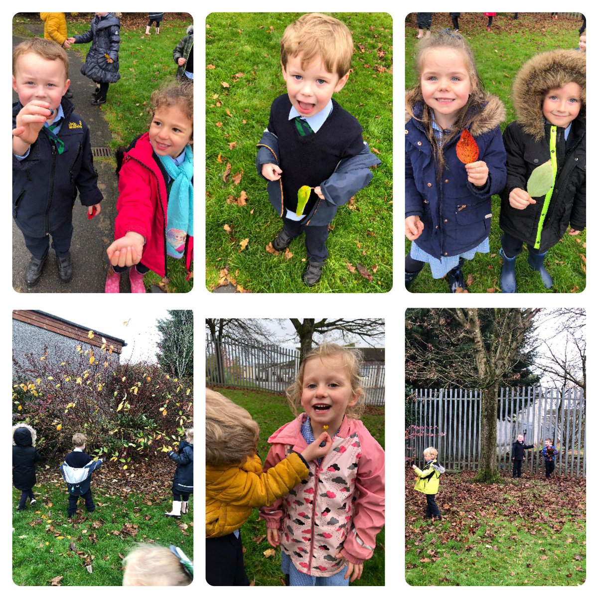 stlucysabronhil's tweet image. Primary 1 exploring the local area today. #learningisfun #ourlocalarea 🍂