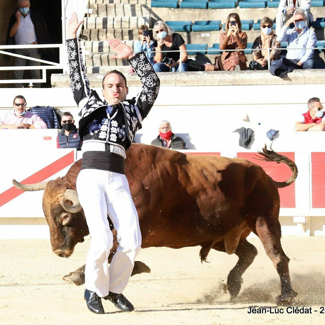 afitauro's tweet photo. 📸 Béziers 2020 vu par Jean-Luc Cledat
#BAPTISTEBORDES

🐮 @ganaderiamarge 

📍@arenesbeziers @laurent_deyris  
Reposted from @Datilelbayo https://t.co/FgPqAFNEhI