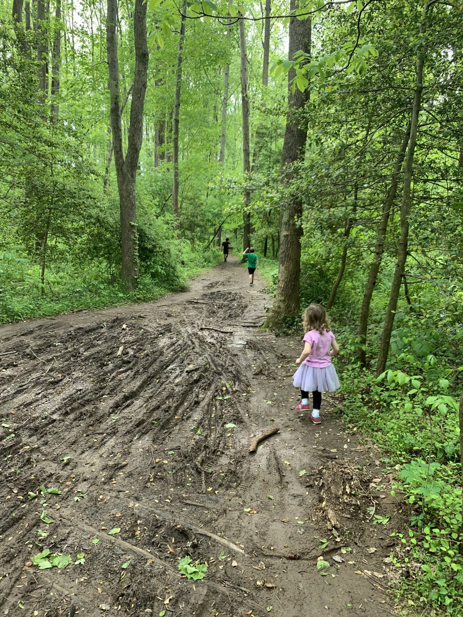 ldkmagee's tweet photo. Hey @MakersMark: We live in Vienna, VA, outside of Washington, DC, but on the edge of nature! Here's  Tamarack Park, the woods behind our house that connect to the W&amp;OD trail, a bike path on converted train tracks. Vienna is a truly #makeitremarkable and magical place to live! https://t.co/bajAhOIdYZ