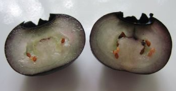 Mikael Forslind tweet media