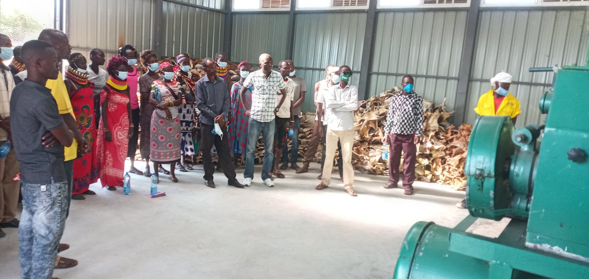 MichaelWesonga3's tweet photo. Supporting  Fish value addition  Capacity  building - Nariemet BMU @JamesLokwale @TurkanaCountyKE @TurkanaOf @Trade_Turkana @FAOKenya @lmskenya
@h_dianga
@USAIDKenya https://t.co/cdslZGSgLa