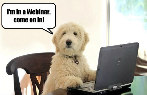 Nearly time for our BMMC Midlands Region 62nd AGM! Looking forward to having those who have registered on our webinar - new approach for us, what could possibly go wrong...#orangefamily