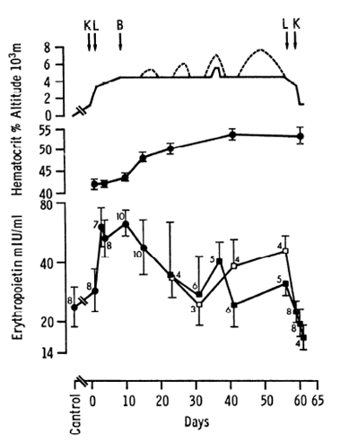 5/n This increase in red cell count is driving by a sharp rise in serum erythropoietin which rapidly rises at first and remains elevated throughout the stay at altitude (PMID: 3897179)