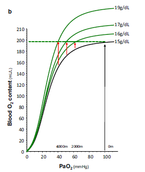 6/n And of course the advantage of this higher hemoglobin is a preservation of blood oxygen carrying capacity at altitude ( https://doi.org/10.1007/s42978-019-00044-2 )