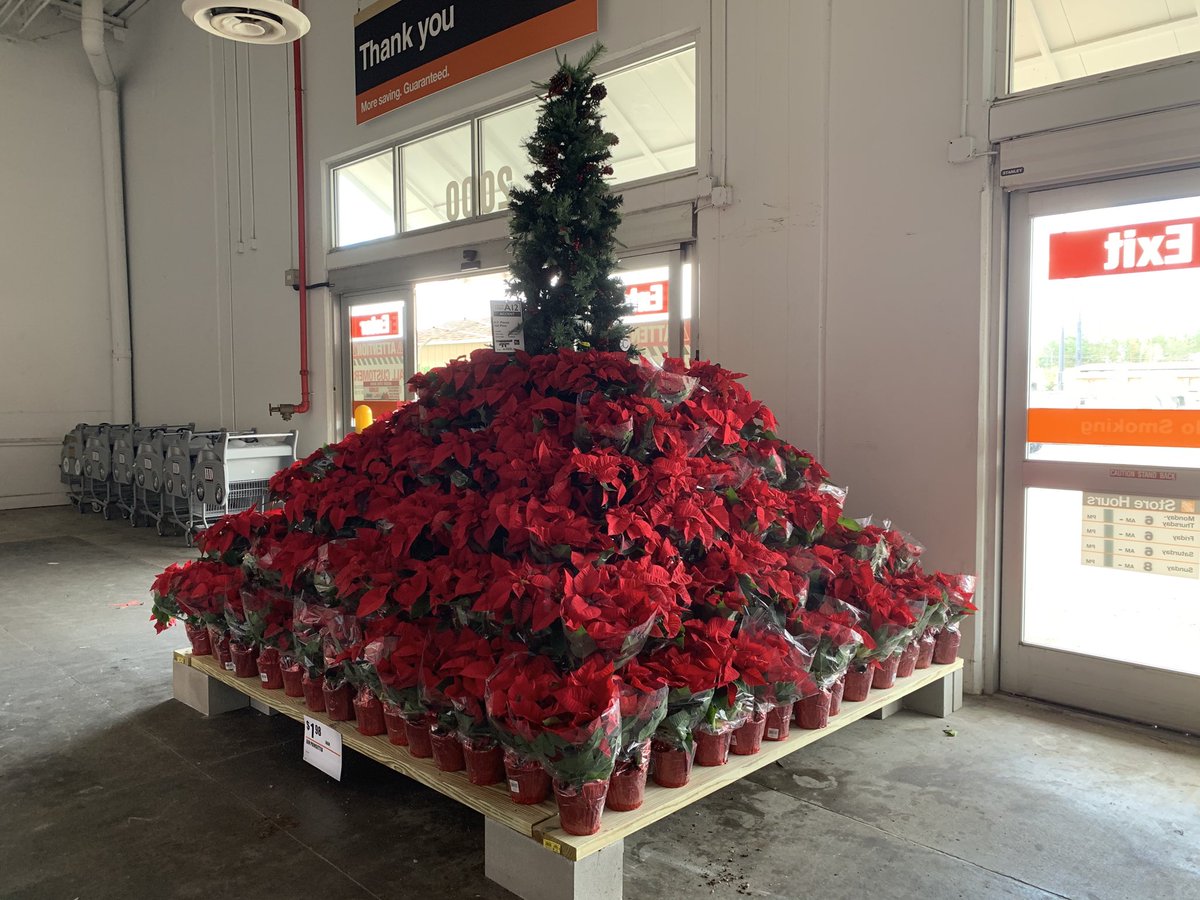 How beautiful is this !! Great job ⁦<a href="/StevenHauptman1/">Steven Hauptmann</a>⁩ ! ⁦<a href="/ChrisDurand_HD/">Chris Durand</a>⁩ ⁦<a href="/HDDistrict132/">Home Depot D132</a>⁩ #anotherWOWfactor