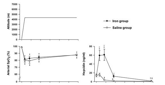 13/n Hypoxia is a very strong suppressor of hepcidin even in the presence of inflammation or increased iron stores. (PMID: 22130801)