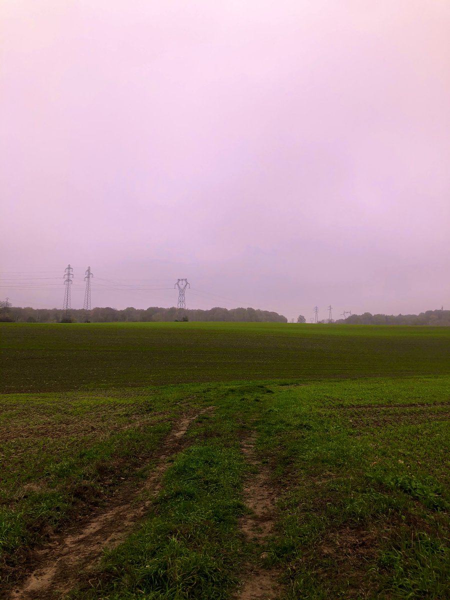 JulietteCTorres's tweet photo. 1er 10km run depuis avril 🥳🥶 https://t.co/GGJpJ0nuG8