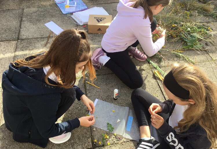 ChaucerJun's tweet photo. #CelebrateArtsmark #embarkfed https://t.co/NHX1S2ubI9