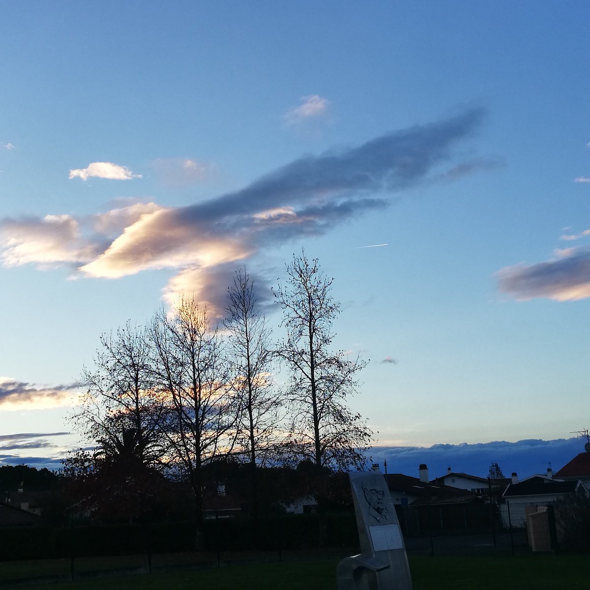 ClaireTalgorn's tweet photo. Parfois il y a des avions-nuages dans le ciel 🛩️☁️☀️
#ciel #avion #senvoler https://t.co/PBas5xI6ge