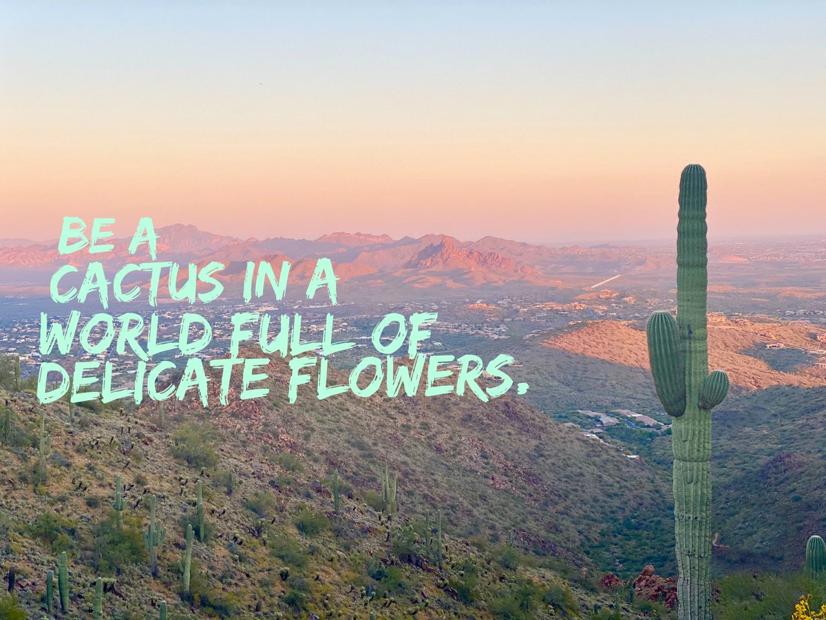 Dare to be different 🌵 

#mountaingirls #wildernessculture #hikingtheglobe #choosemountains  #likeamountaingirl #optoutside #hikeaz #hikingadventures #wanderwomeninc #amongthewild #lifeofadventures #hikewithusaz #discoverearth #arizonahiking #wednesdaywisdom #goatworthy