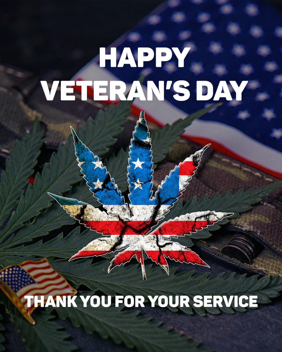 BlackDogLED's tweet photo. A deep thank you to all our veterans and armed forces members for your brave and dedicated service! Today we salute you!🇺🇸🇺🇸🇺🇸🇺🇸🇺🇸🇺🇸 https://t.co/OlhLRT0V6q